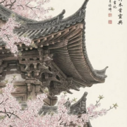 Year 7 - Japanese Assessment Flashcards