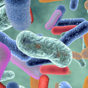 JU Pathologies abdominales et pelvienne