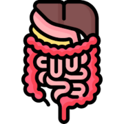 CCE1 - GI / Colorectal