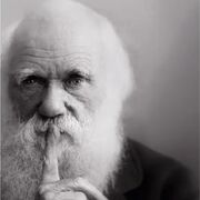 GCSE AQA Biology 101