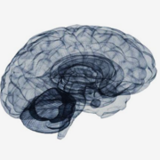 Cognitive Neuroscience