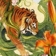 BETTER HISTORY YR 11