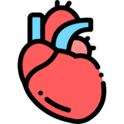 CCE3 - Cardiovascular