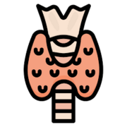 CCE3 - Endocrine / metabolic