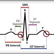 A&P - Block 9 CardioResp (PICS TBC)