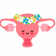 MED-1223 (Gynéco) - Examen 2 (Aude)