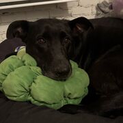 Examen Soins Intra 💉