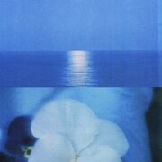 .·:*𝓘𝓭𝓮𝓷𝓽𝓲𝓽é𝓼 𝓮𝓽 𝓲𝓷𝓽𝓮𝓻𝓪𝓬𝓽𝓲𝓸𝓷𝓼 𝓼𝓸𝓬𝓲𝓪𝓵𝓮𝓼*:·.