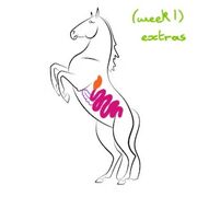 Helen's Equine (week 1) cards