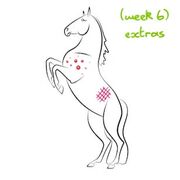 Helen's Equine (week 6) cards