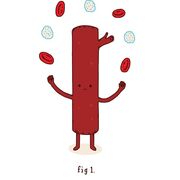 Hematología ordinario