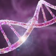 Examen 2 - Introduction à la génétique moléculaire (45%) SBM-1004