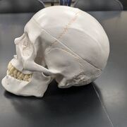 B223 Lab P1