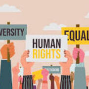 LAW LLB Human Rights