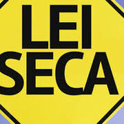 LEI constitucioNAl