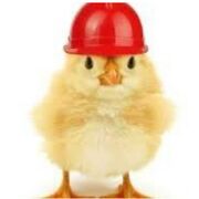 AMHP - H&S, Animal Handling & Systems