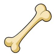 Testes ortopedia