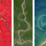 Anatomy Final Review