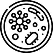 Développement professionnel II