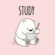 2026 English Year 10