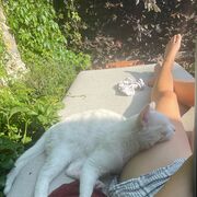 Pathologie Van De Verloskunde