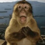 6th grade ADV Science