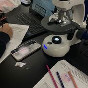 A Level Biology - Component 2