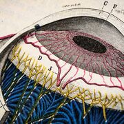 Examen ophtalmologie