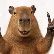 Industrial Psychology