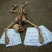 Anato ☠️🫀🧠