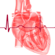 2 - Arrhythmias