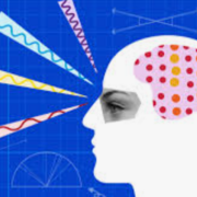 Coding and Receptive Fields