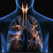 Syst.Respi. H26 exam 2