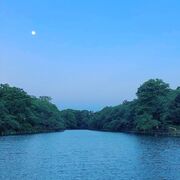日本語 淵