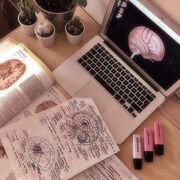 PSYC2217 (Cognitive Neuroscience)
