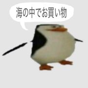 History Progress Assessments