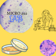 MICRO 202 LAB