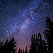 Hrissa PHA-1025 Services prof. (APS)