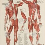 TMC103 Essential Sciences III