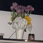 *Japanese Flash Cards*