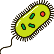 Medical Microbiology
