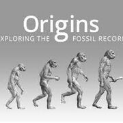 Evolutionary Biology Unit 3