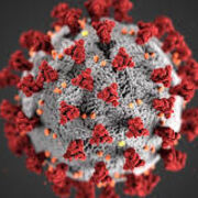 Glosario virus 2026-1