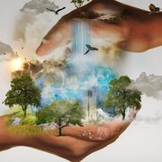 Climate change + Globalisation