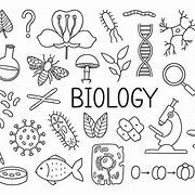 Biology 13+