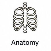 Anatomy