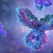 IML308 - Laboratoire d'immunotechnologies