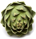 Joe Artichoke