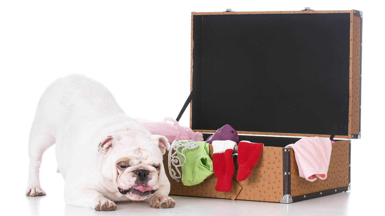 Petboarding