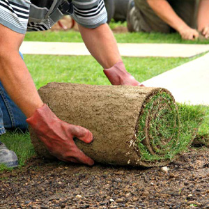 Sod install